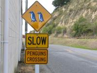 Albums/20060200-New Zealand 2006/20060316-Twiz/8